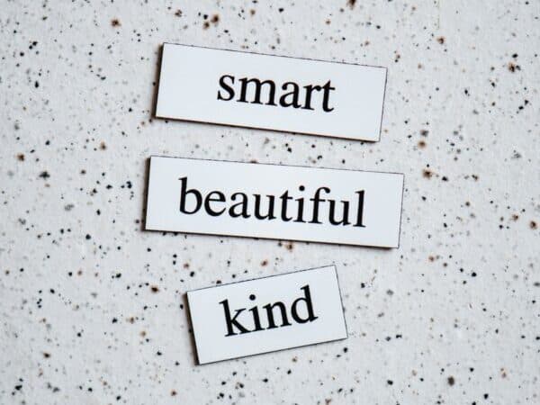 Adjective Order: Pengertian, Contoh, dan Cara Penggunaannya
